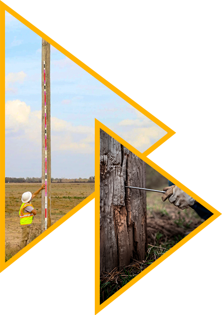 Pole Inspection