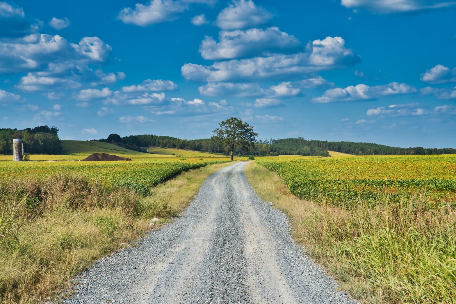 How Social Lives of East Texans Will Soon Change
