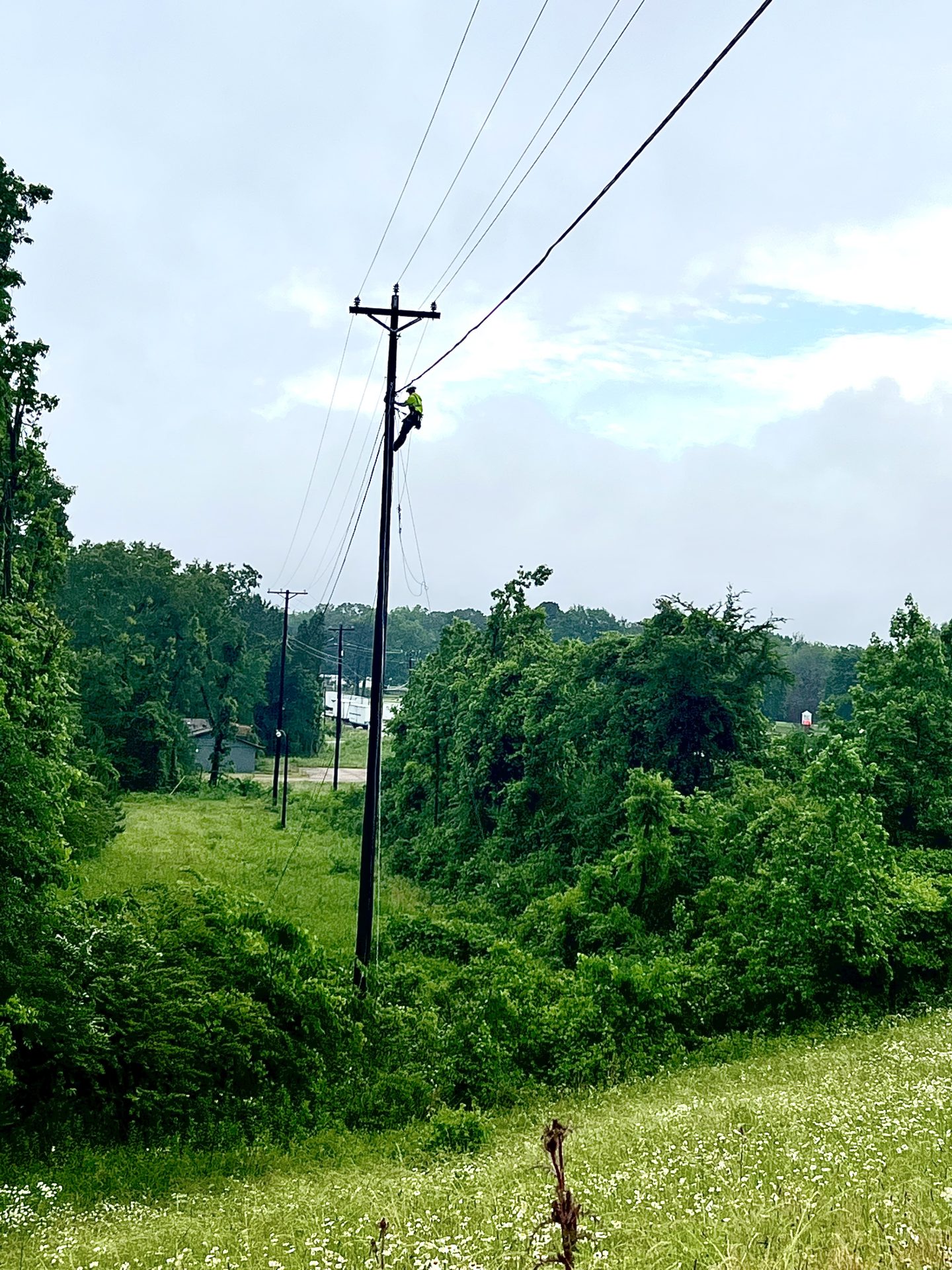 June Photo Contest Winner