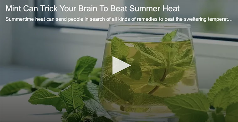 10 Summer Heat Safety Tips for Staying Cool and Safe in the United States 10 Summer Heat Safety Tips for Staying Cool and Safe in the United States