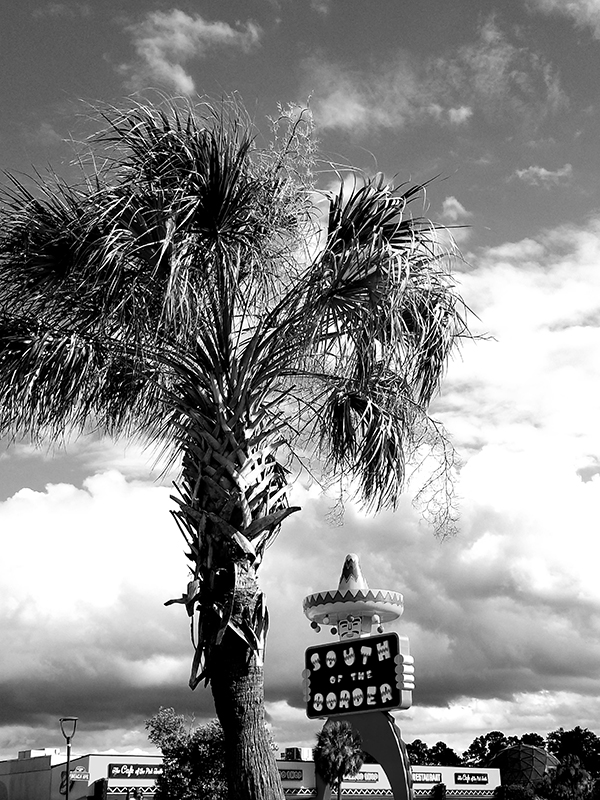 September Photo of the Month September Photo of the Month