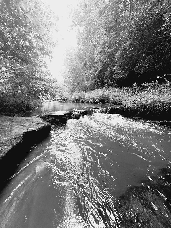 September Photo of the Month September Photo of the Month