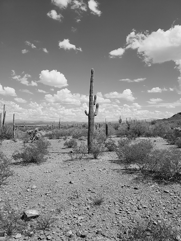 September Photo of the Month September Photo of the Month