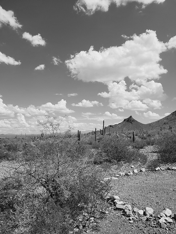 September Photo of the Month September Photo of the Month