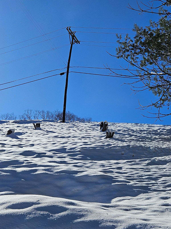 January Photo of the Month Contest January Photo of the Month Contest