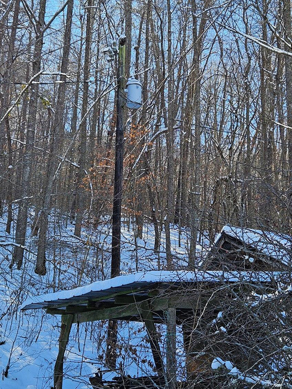 January Photo of the Month Contest January Photo of the Month Contest