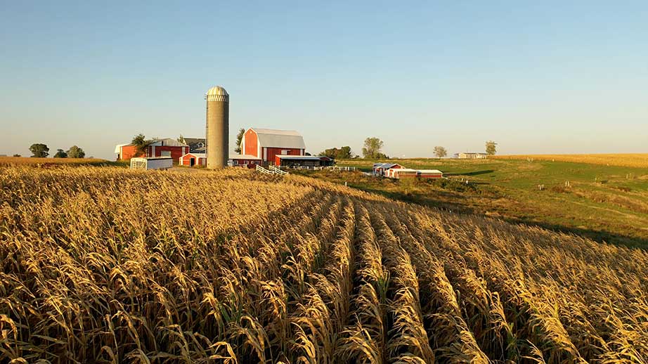 Planning for a ‘Broadband Breakthrough,’ Rural Illinois Counties Prepare