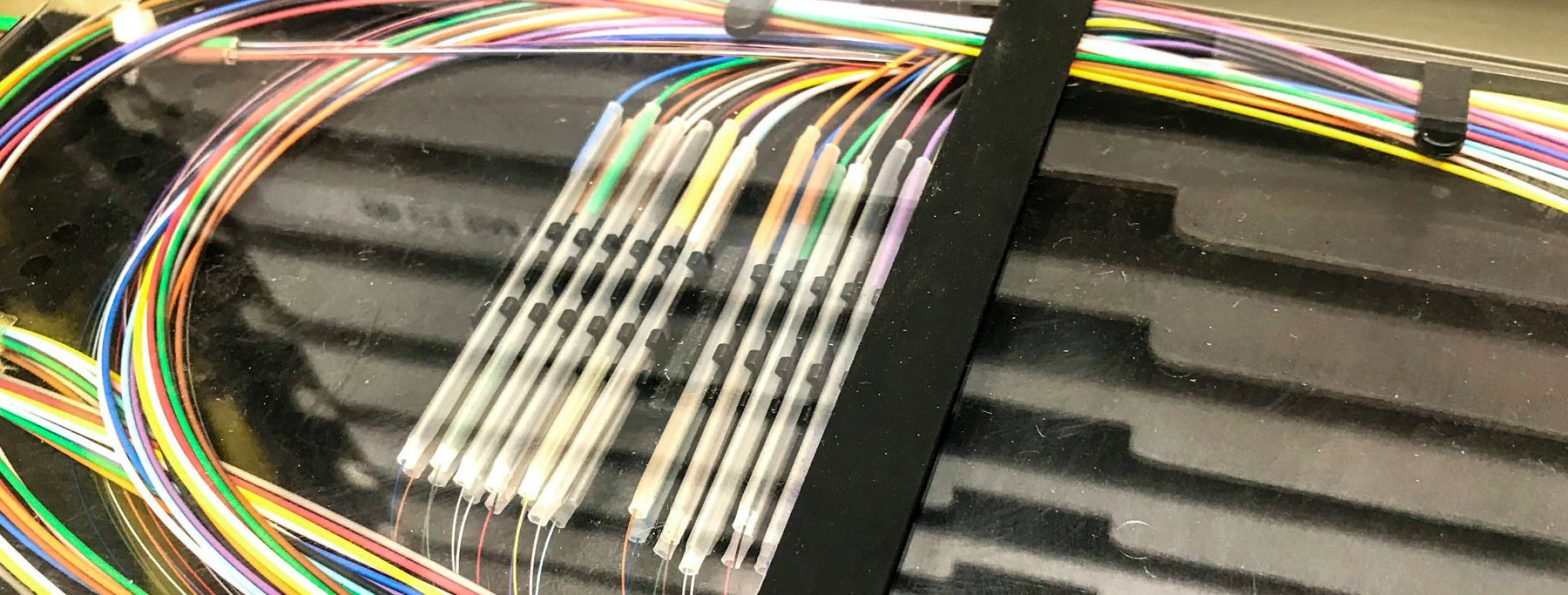 Fiber Optic Boom: Transformative Trends Lighting Up the Future