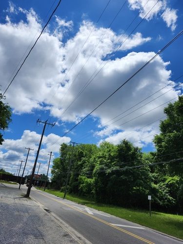 June photo Contest June photo Contest